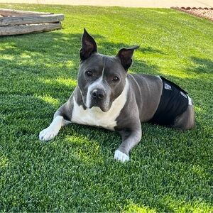 Meet your Posher, Candi